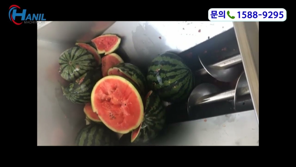 수박 처리영상