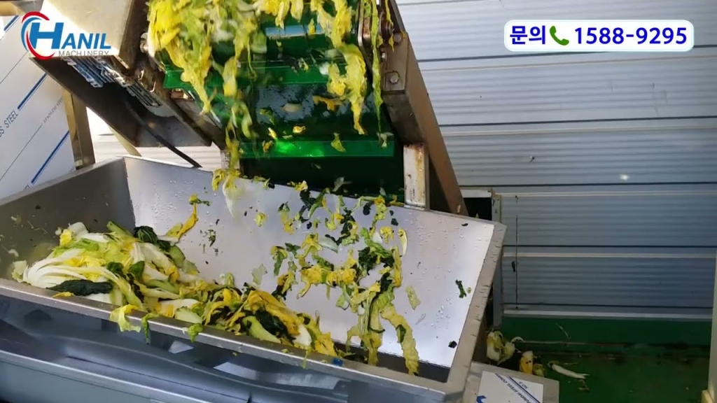 절임배추 처리영상