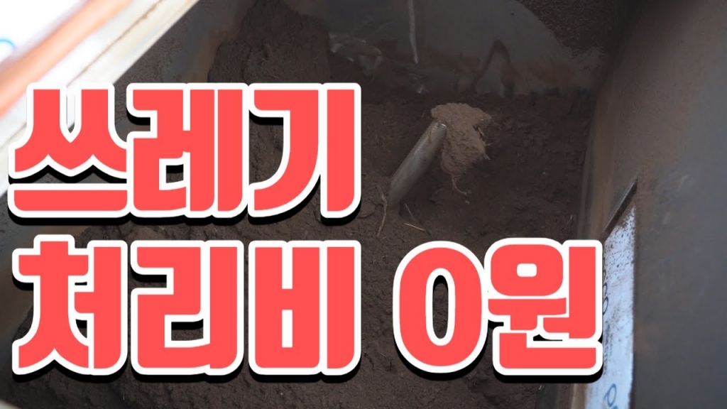 MZ세대 급식을 완벽히 처리하는 방법