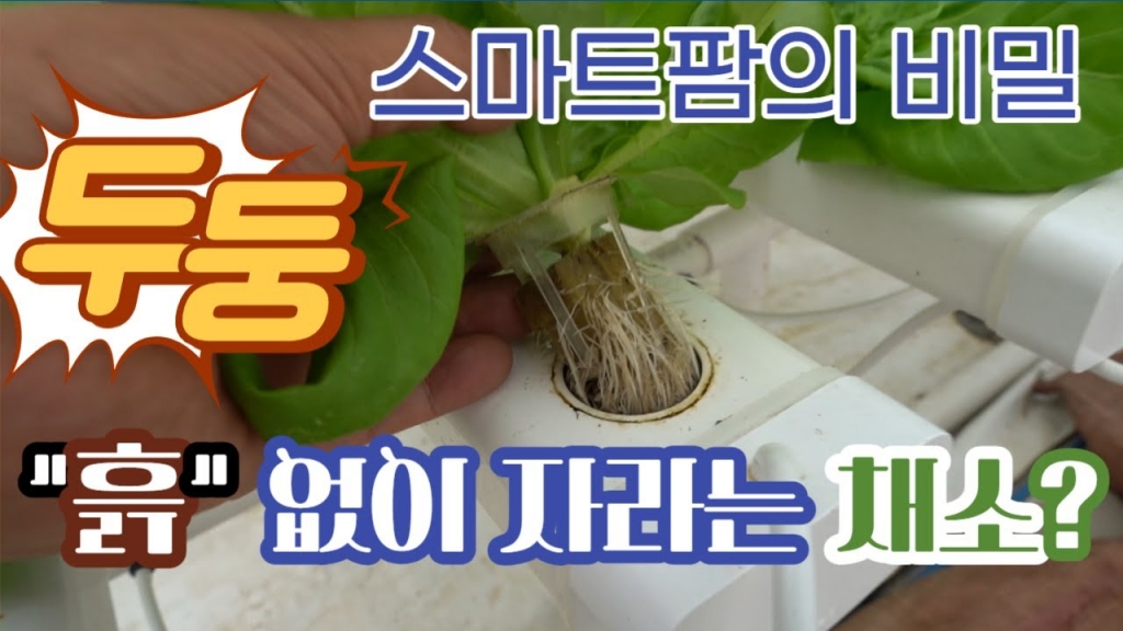 스마트팜 - 흙이 없이 재배하는 자동화시스템 전격해부