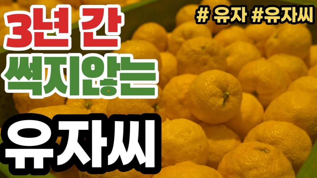 고흥 농협에서 사용하는 유자씨 처리방법